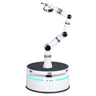 Realman Robotics RMC-BA Compound Robot