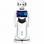 Robot umanoid de recepție Alpha Alice