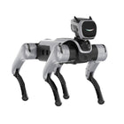 MagicLab MagicDog Quadruped Robot