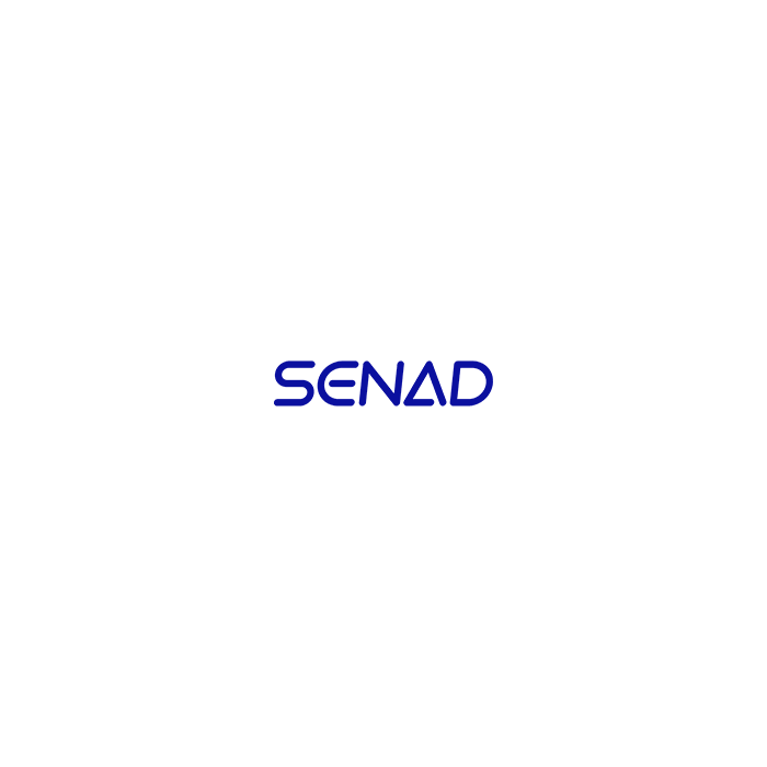 Buy Senad 3D Vision Depalletising Workstation Robot - Advanced Robotics Solution | Robotix Market